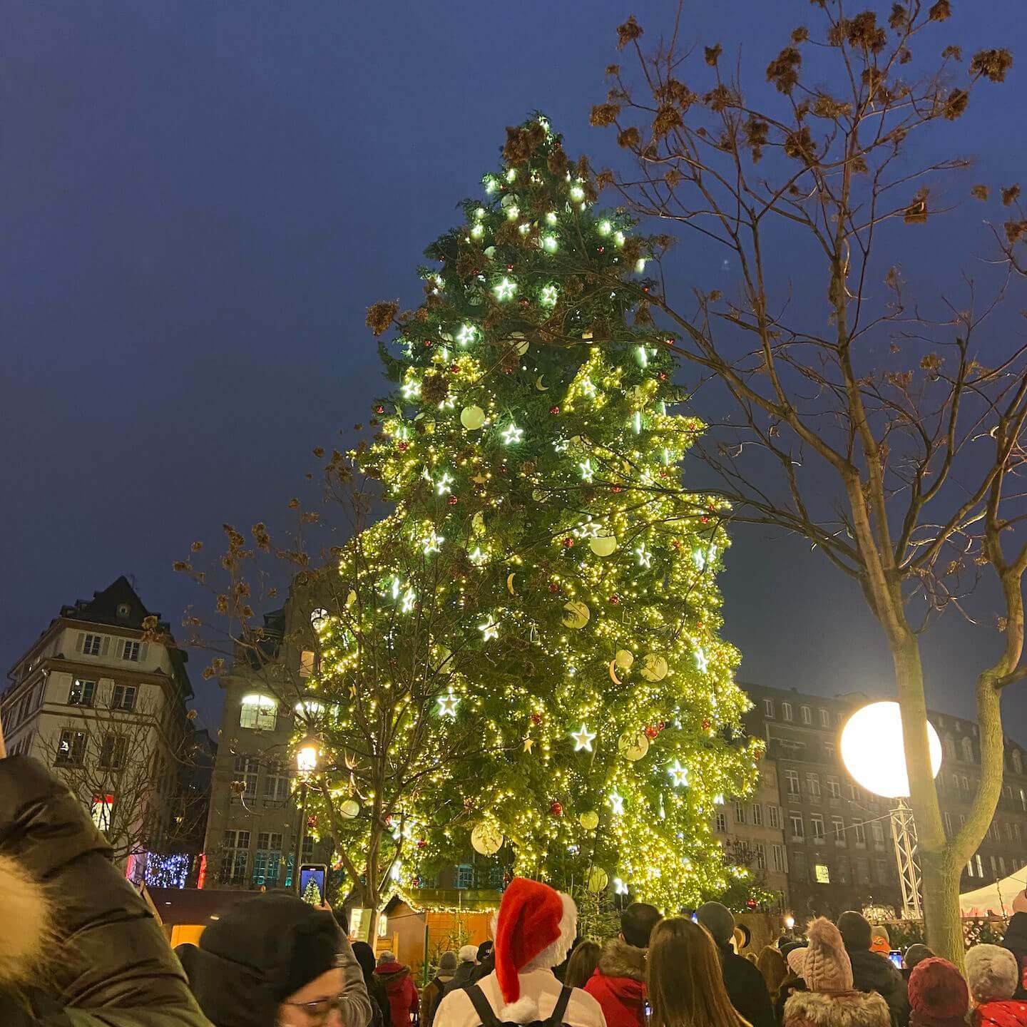 法国斯特拉斯堡的圣诞市场.jpg